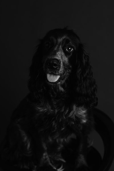 Milo